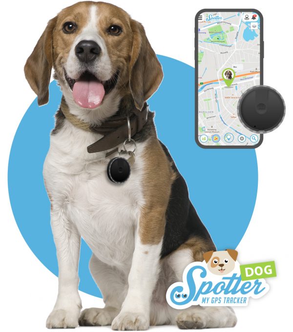 Pet Tracker (Dog)